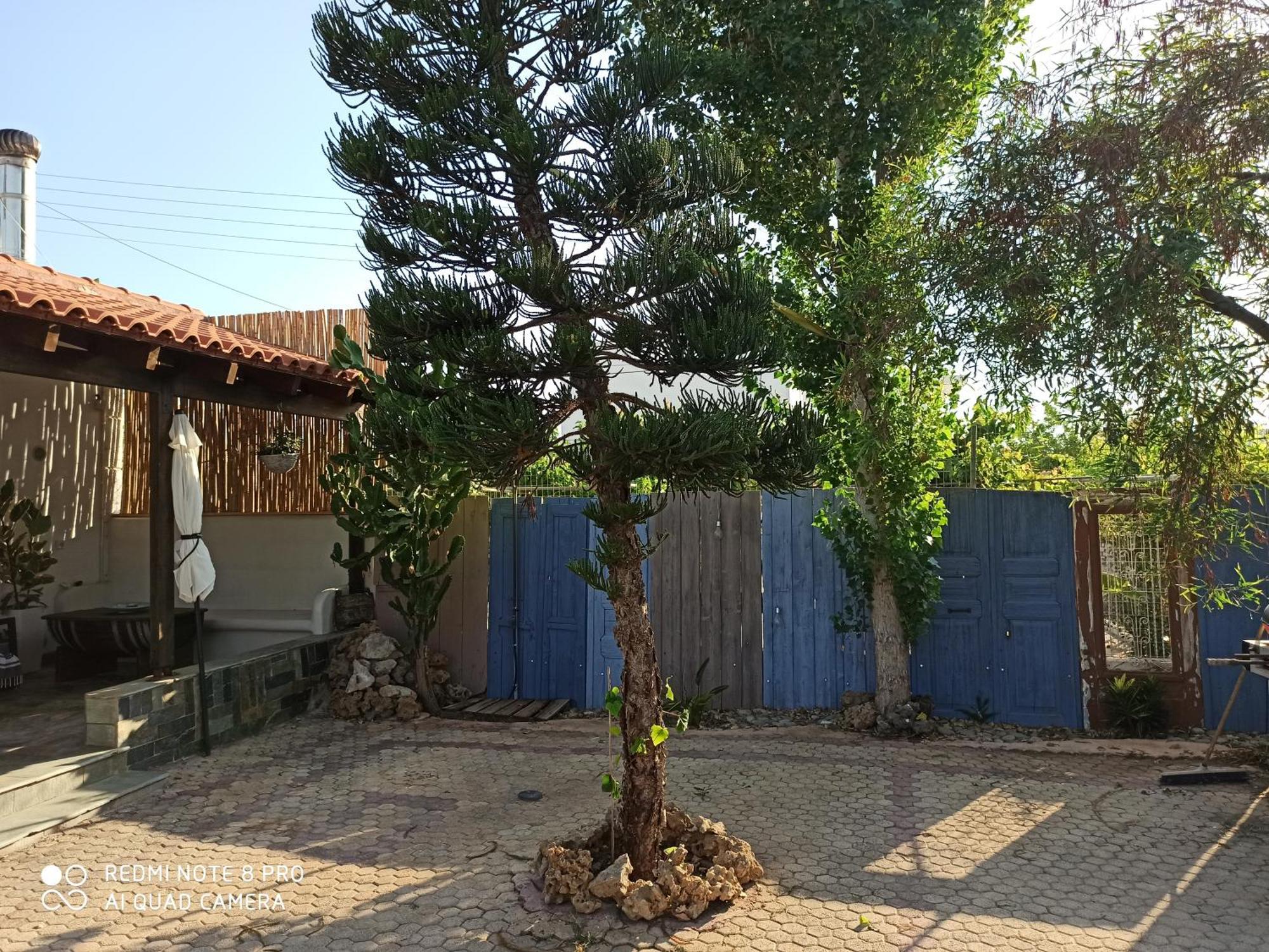 Cactus Home Kalamaki  Zewnętrze zdjęcie