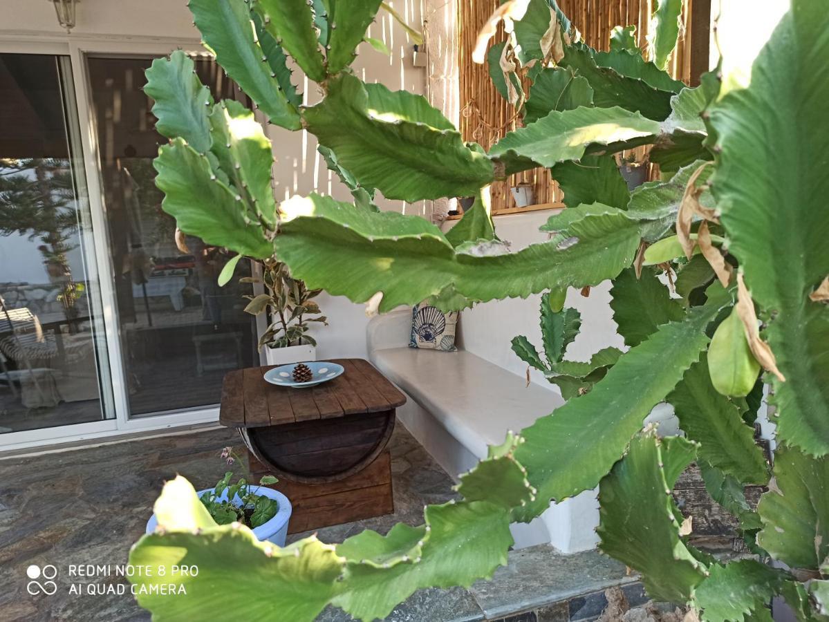 Cactus Home Kalamaki  Zewnętrze zdjęcie
