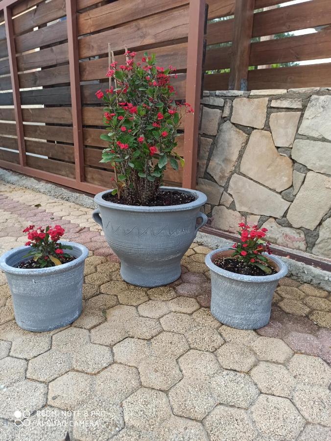 Cactus Home Kalamaki  Zewnętrze zdjęcie